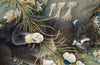 Ivory Cats by Lesley Anne Ivory Wall Calendar 2026 (Art Calendar) (PRE-ORDER)