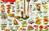 Adult Sustainable Jigsaw Puzzle Mushrooms & Fungi by Adolphe Philippe Millot: 1000-pieces. Ethical, Sustainable, Earth-friendly