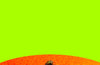 Fruit Fly by Josh Silver