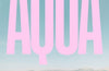 Aqua: A Story of Water and Lost Dreams by Chiara Barzini