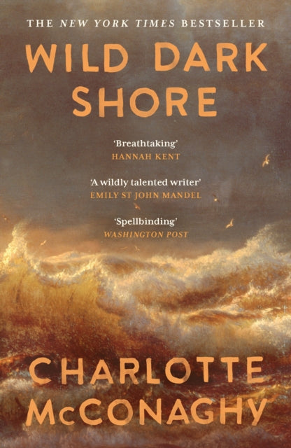 Wild Dark Shore by Charlotte McConaghy