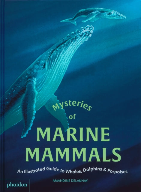 Mysteries of Marine Mammals: An Illustrated Guide to Whales, Dolphins, and Porpoises by Amandine Delaunay