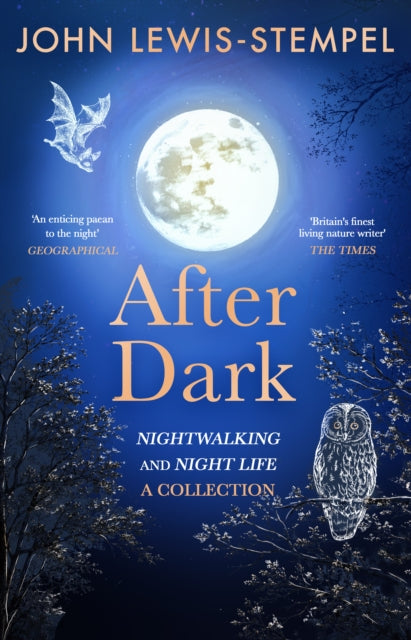 After Dark by John Lewis-Stempel