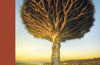 Lonely Planet The Tree Atlas