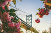Lonely Planet Pocket Philadelphia, 3 ed.