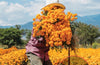 Lonely Planet Mexico, 19 ed.