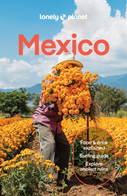 Lonely Planet Mexico, 19 ed.