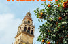 Lonely Planet Pocket Valencia, 6 ed.