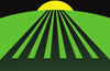 The Future of Agriculture by Sarah Bearchell