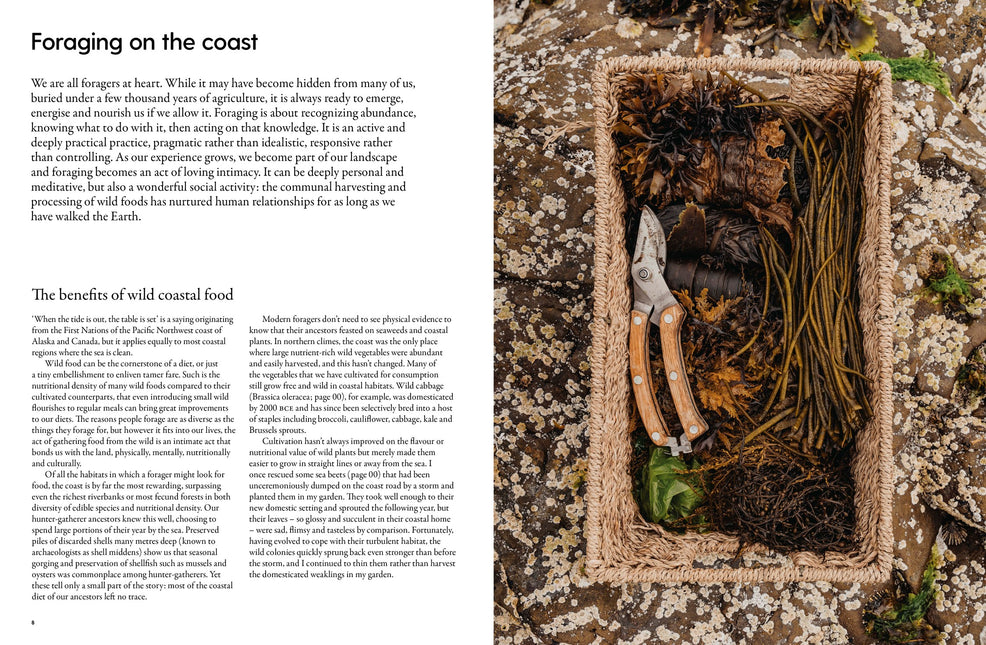 The Coastal Forager: Wild maritime food to preserve, cook, eat by Mark Williams