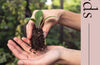 Seeds: Grow Your Own Cut Flowers from Scratch by Milli Proust