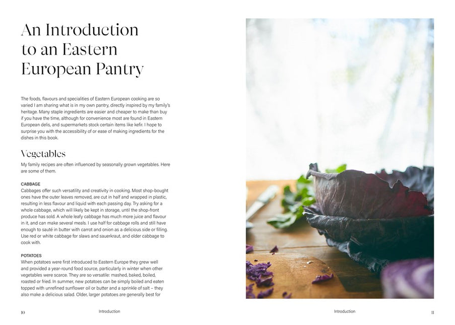 Sour Cherries and Sunflowers: A Taste of Home | Recipes from Eastern Europe and Beyond by Anastasia Zolotarev