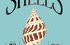 Shells by Susan E. Clark