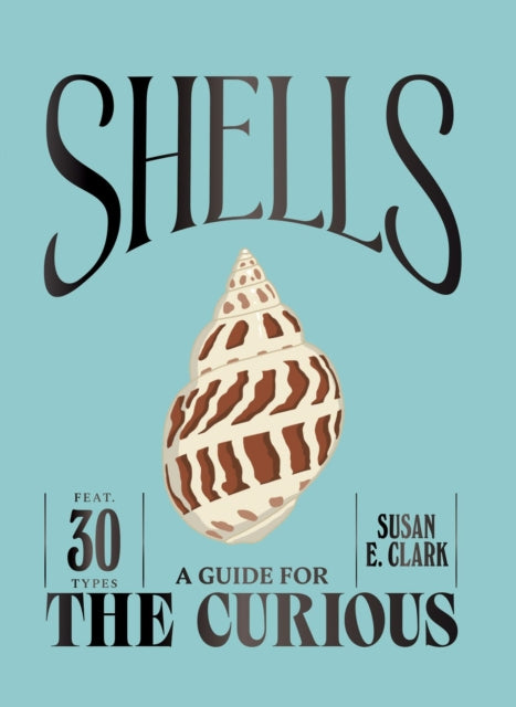 Shells by Susan E. Clark