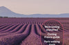 Lonely Planet France, 15 ed.