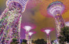 Lonely Planet Pocket Singapore, 8 ed.