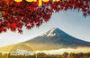 Lonely Planet Japan, 18 ed.