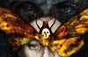 The Silence of the Lambs by Yvonne Tasker