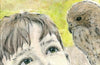 Kes by David Forrest
