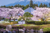 The Rough Guide to Japan: Travel Guide with eBook, 9 ed.
