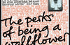 The Perks of Being a Wallflower by Stephen Chbosky