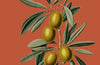 Classic Palestinian Cuisine: 25th Anniversary Edition by Christiane Dabdoub Nasser