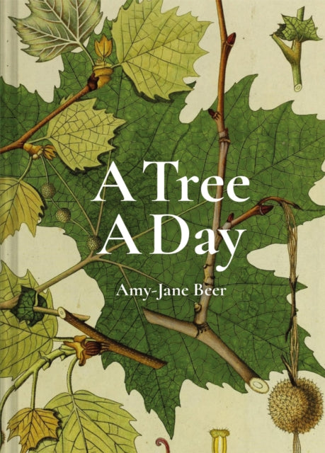 A Tree A Day by Amy-Jane Beer