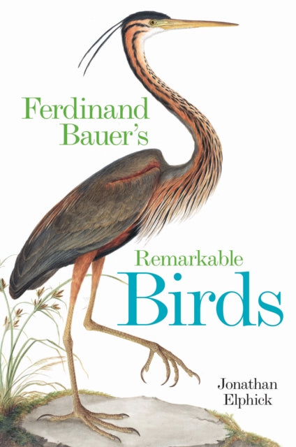 Ferdinand Bauer's Remarkable Birds by Jonathan Elphick