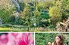Living with the Earth: Volume 3: Creating a Microfarm: 3 by Perrine Herve-Gruyer