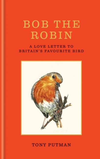 Bob the Robin: A love letter to Britain’s favourite bird by Tony Putman