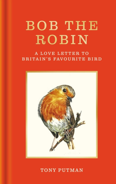 Bob the Robin: A true story of the friendship between one man and Britain's favourite garden bird by Tony Putman