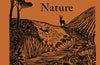A Year in Nature: A Celebration of the Seasons by Lia Leendertz