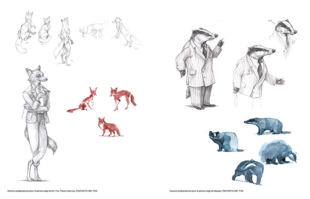 Wes Anderson: The Archives