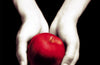 Twilight by Stephenie Meyer
