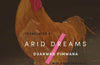 Arid Dreams by Duanwad Pimwana