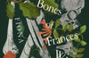 The Silver Bones of Frances Winter by Fiona Goggin
