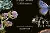 Togetherness: Symbiosis and the Hidden Story of Life’s Greatest Collaborations by Rowan Hooper