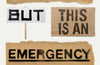 Sorry for the Inconvenience But This Is an Emergency: The Nonviolent Struggle for Our Planet's Future by Lynne Jones