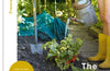 The First-Time Gardener by Frances Tophill