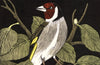 The Charm of Birds by Edward Grey