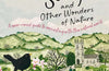 The Blackbird's Song & Other Wonders of Nature: A year-round guide to connecting with the natural world by Miles Richardson