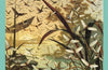 Mayfly Season by Matthias Jugler