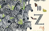 A to Z: An Animal Alphabet: A Seek-and-Find ABC Book
