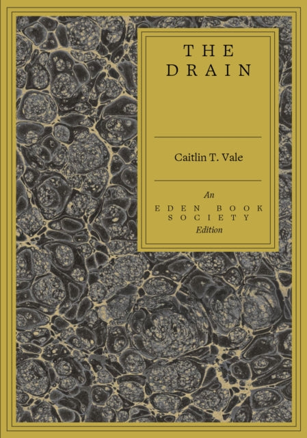 The Drain by Caitlin T. Vale