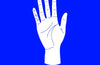 Palmistry Flashcards by Anna Comerford (PRE-ORDER)