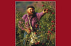 The Apple Grower: Guide for the Organic Orchardist, 2nd Edition by Michael Phillips