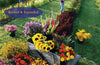 The Flower Farmer: An Organic Grower's Guide to Raising and Selling Cut Flowers, 2nd Edition by Lynn Byczynski