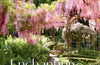 Veranda Enchanting Gardens: Inspired Landscape Design by Stephanie Hunt