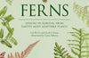 Ferns: Lessons in Survival From Earth’s Most Adaptable Plants by Fay-Wei Li & Jacob S. Suissa (PRE-ORDER)