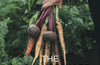 The Plant-Forward Handbook by Frederic Jaunault (PRE-ORDER)